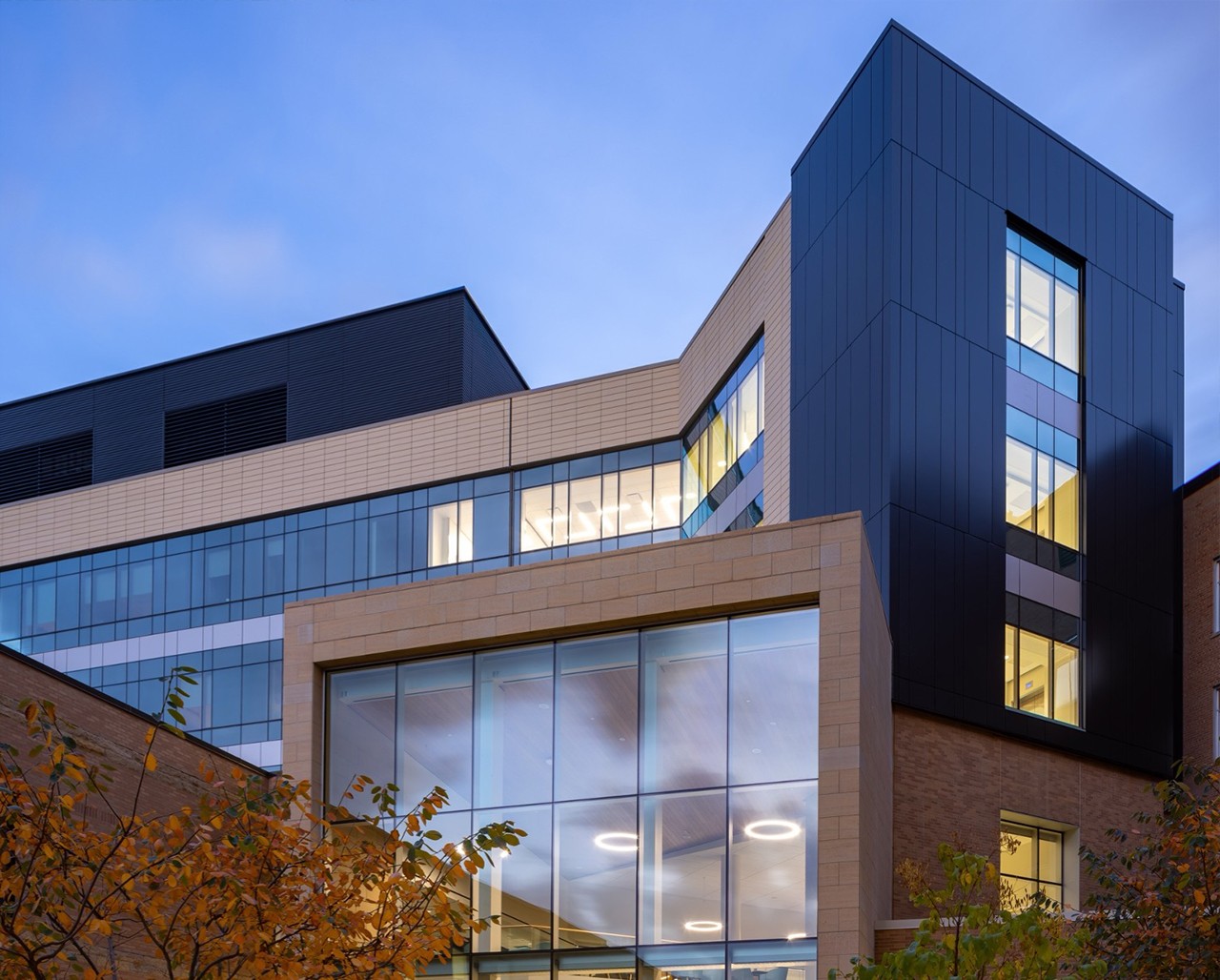 Mayo Mankato Bed Tower