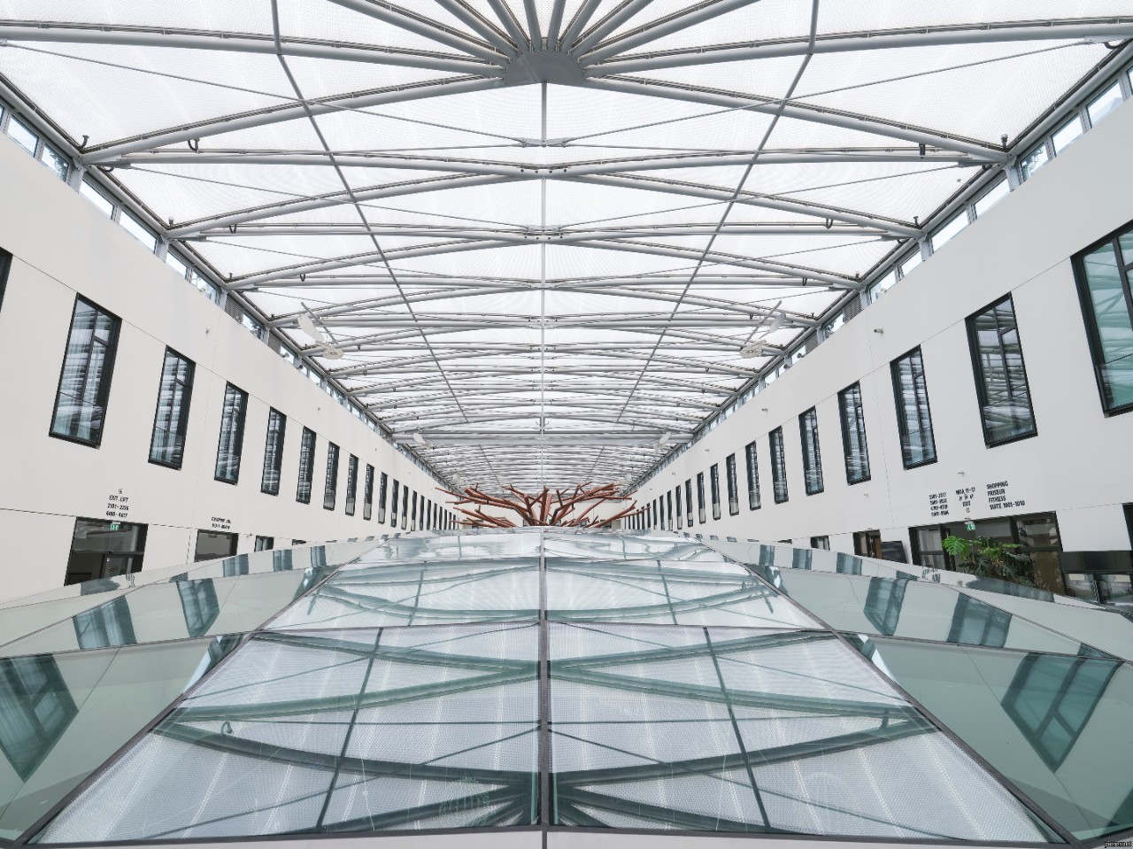 Roof and skylights